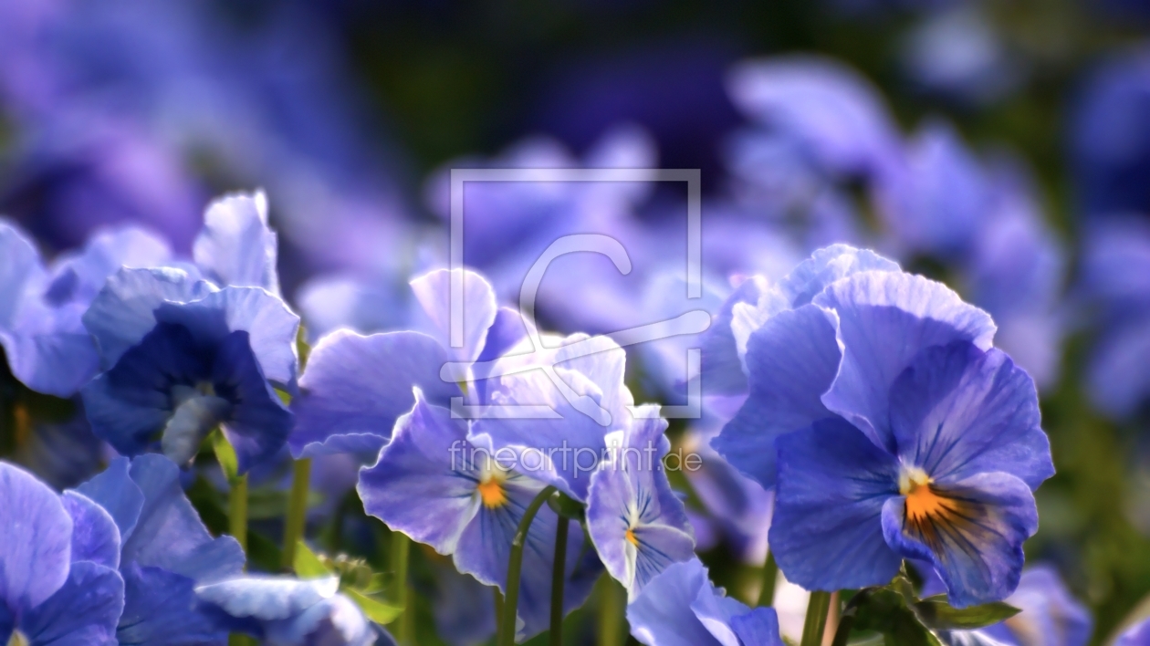 Bild-Nr.: 9605770 Sensuality erstellt von youhaveadream