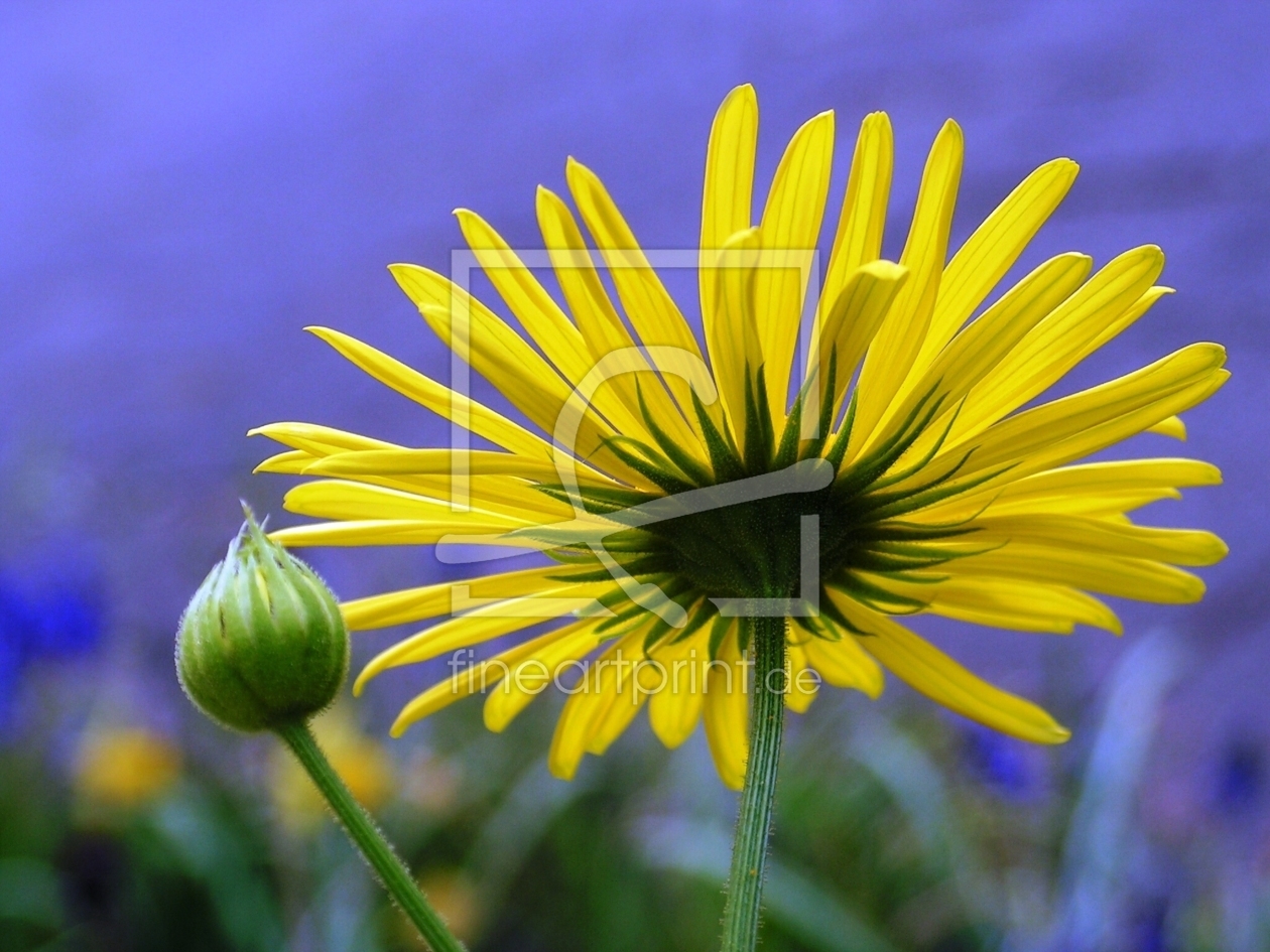 Bild-Nr.: 9613170 Sonnenstrahlen erstellt von Renate Knapp