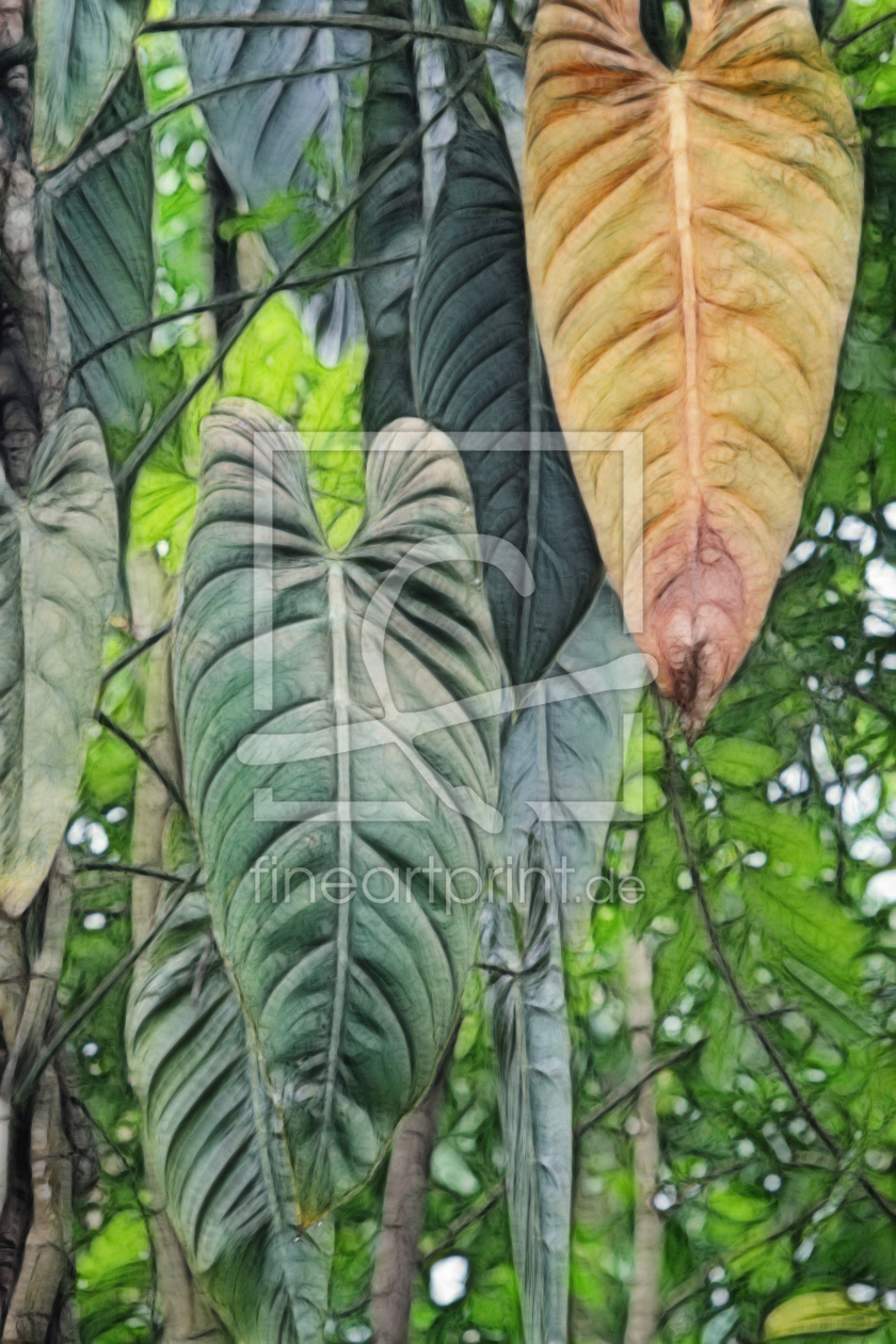 Bild-Nr.: 9614818 Rainforest erstellt von Galerie-Fotoeffekt