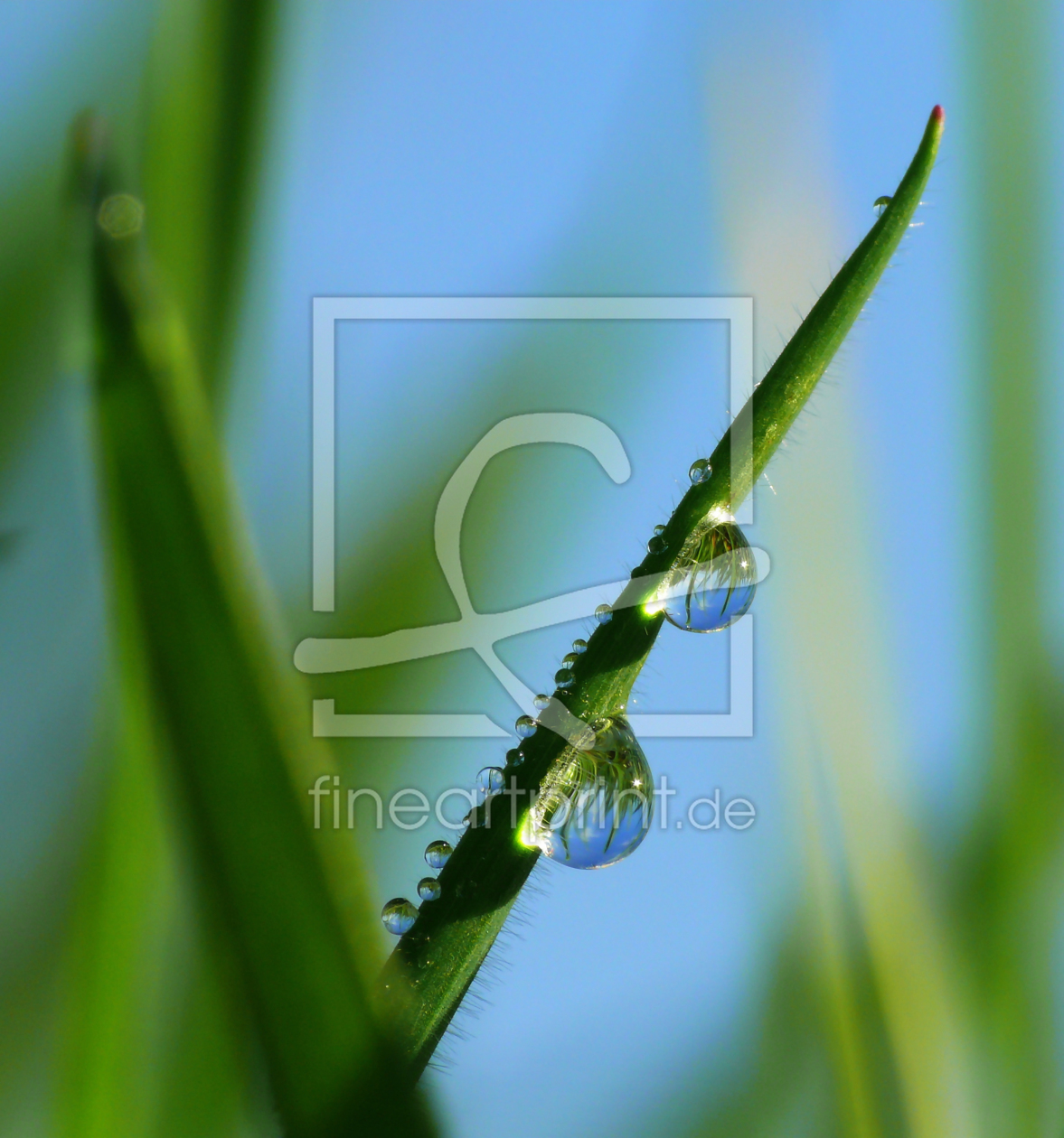Bild-Nr.: 9619942 Wassertropfen erstellt von gabii40
