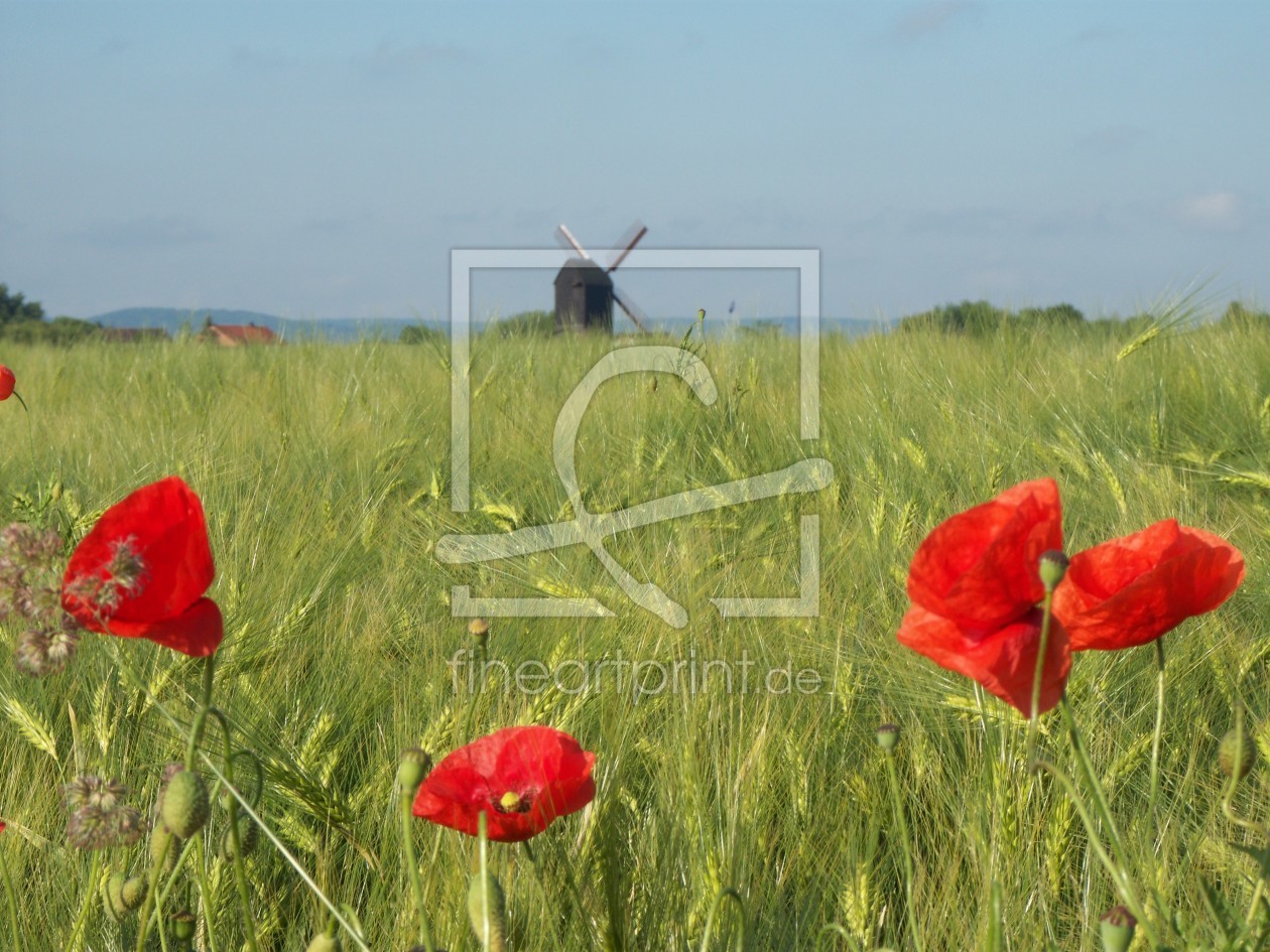 Bild-Nr.: 9628892 Idylle im Kornfeld erstellt von Biggili