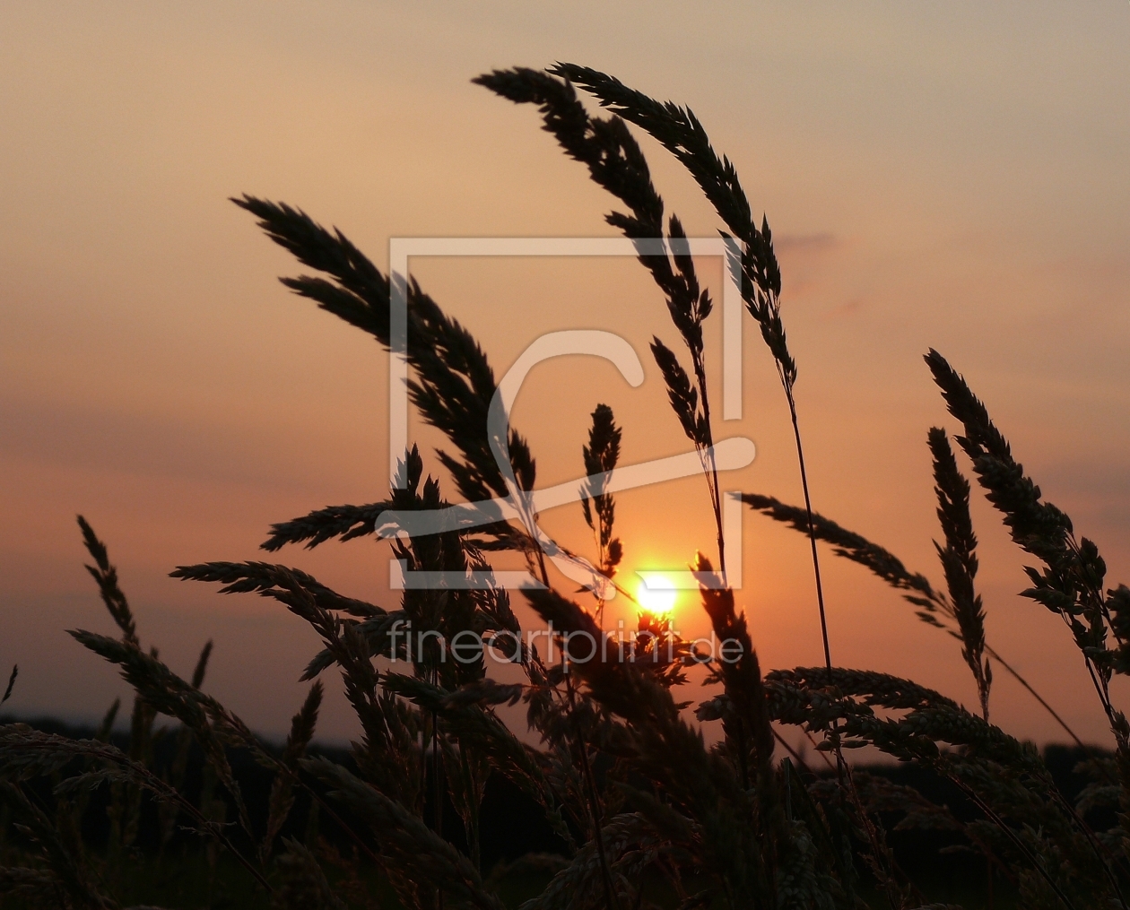 Bild-Nr.: 9629696 Abendstimmung erstellt von gabii40