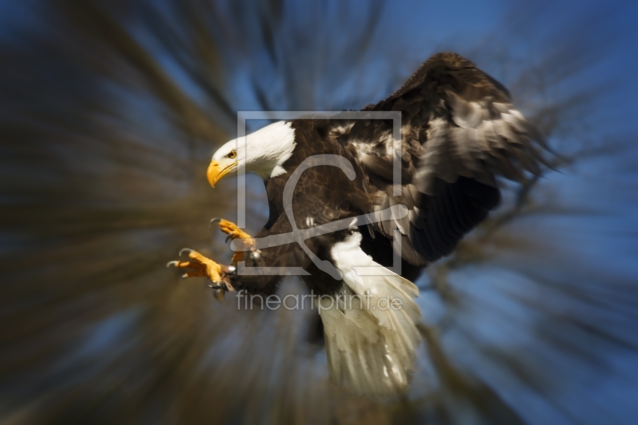 Bild-Nr.: 9630504 Adler erstellt von WorldOfArt