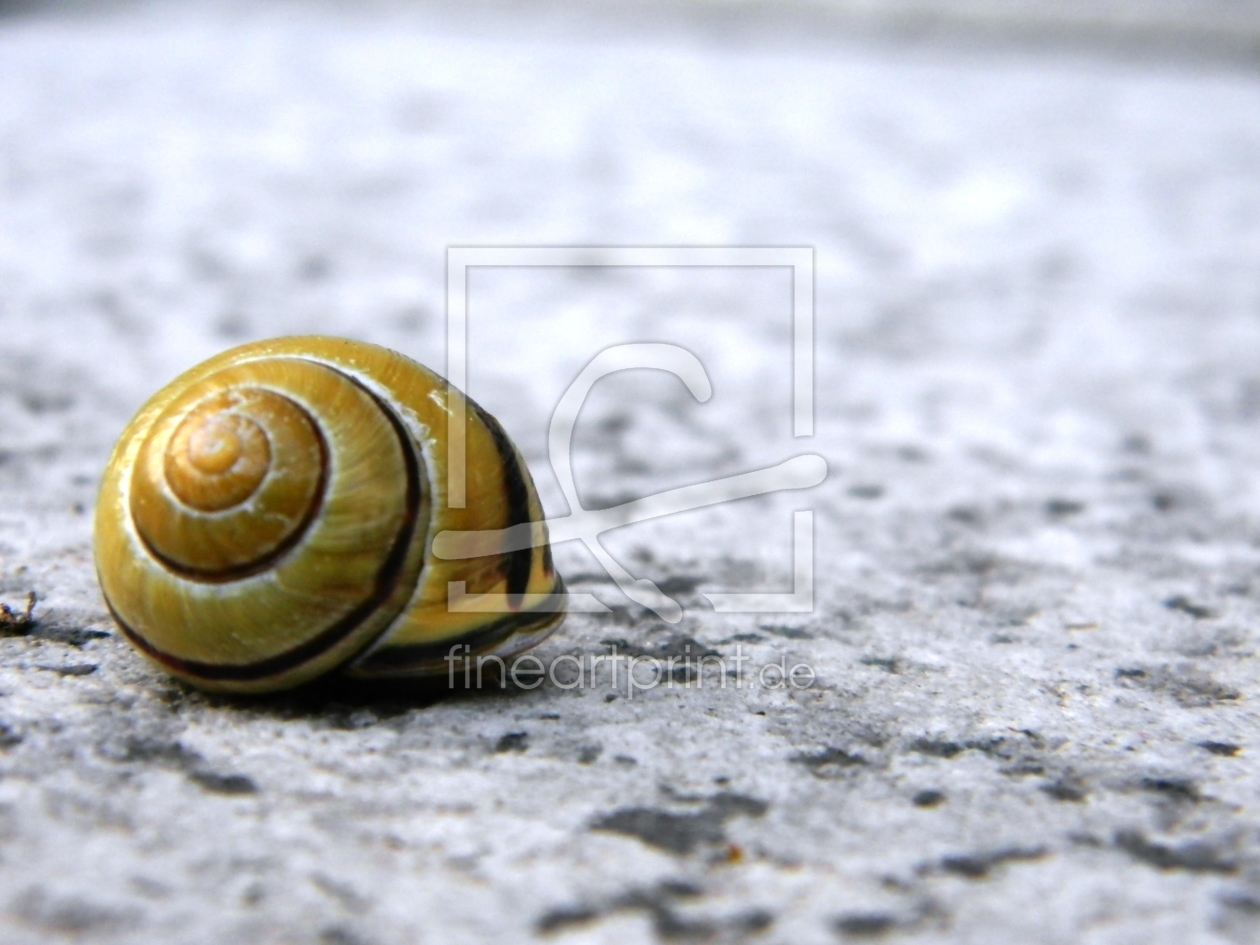 Bild-Nr.: 9645092 Schnecke erstellt von luigi2010