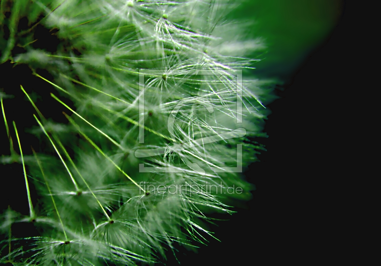 Bild-Nr.: 9647096 Blowing in the wind erstellt von youhaveadream