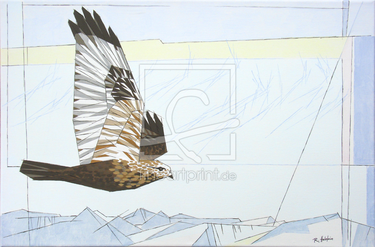 Bild-Nr.: 9647770 Rauhfussbussard erstellt von armando