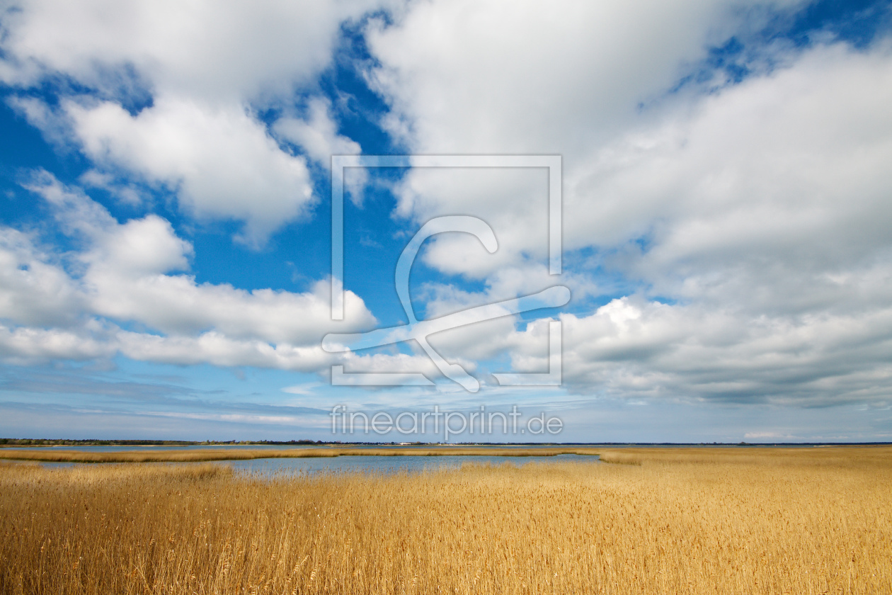 Bild-Nr.: 9651650 Boddenlandschaft erstellt von Rico Ködder