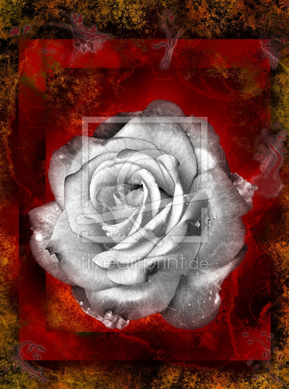 Bild-Nr.: 9654148 Rose erstellt von JuliArt