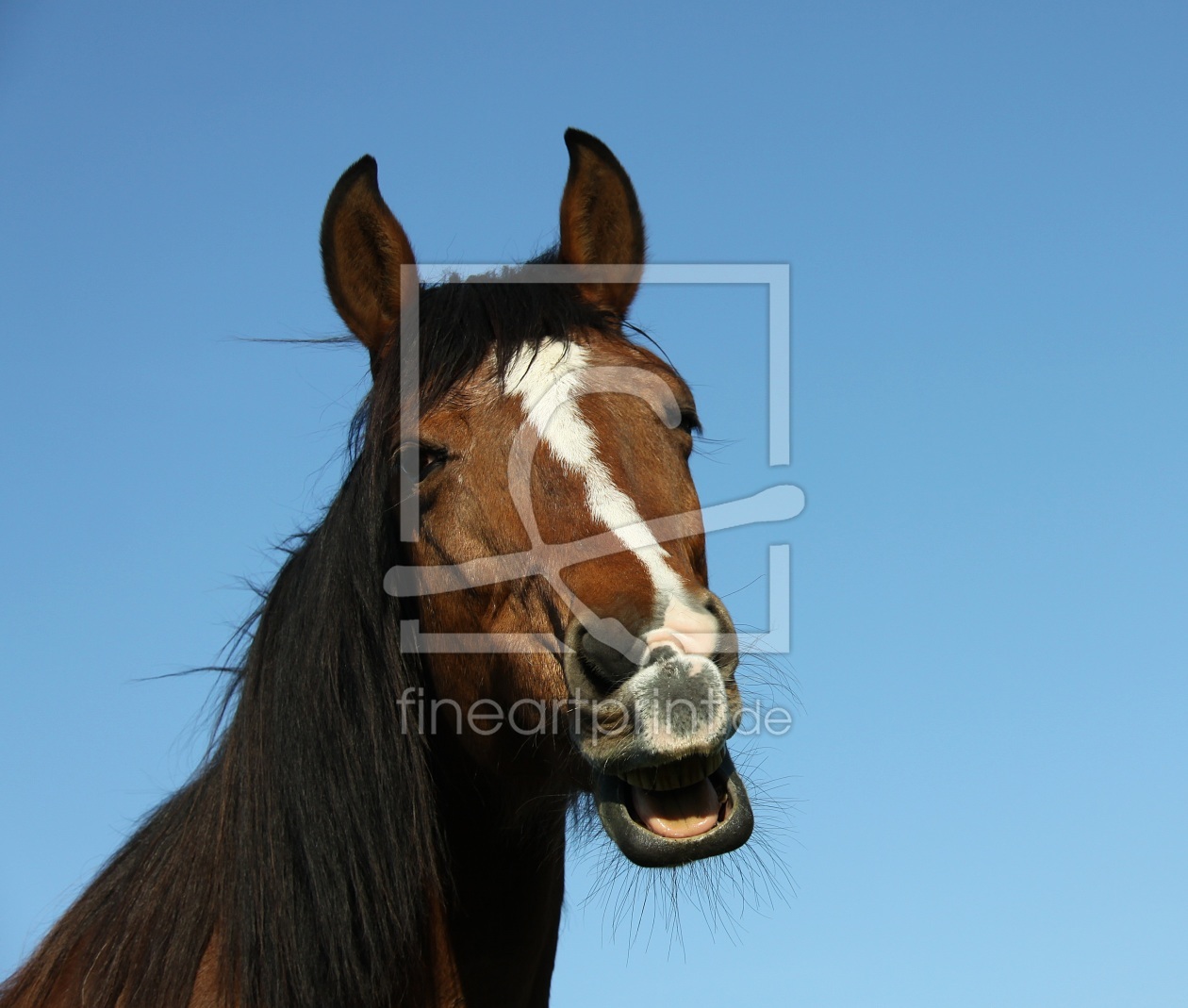 Bild-Nr.: 9656436 Araber Mix Alisha lacht erstellt von andy2902