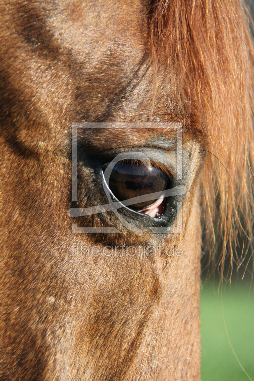 Bild-Nr.: 9657272 Auge der Spiegel der Seele erstellt von andy2902