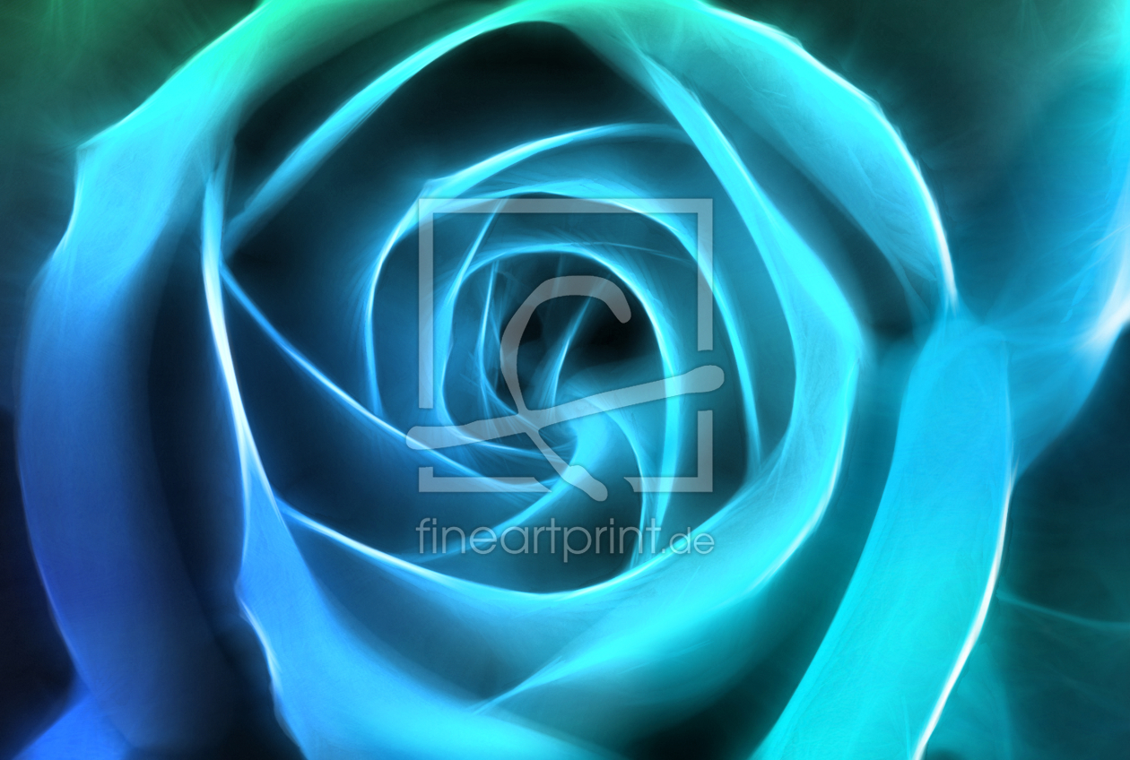 Bild-Nr.: 9657358  •  ROSE  • erstellt von Galerie-Fotoeffekt