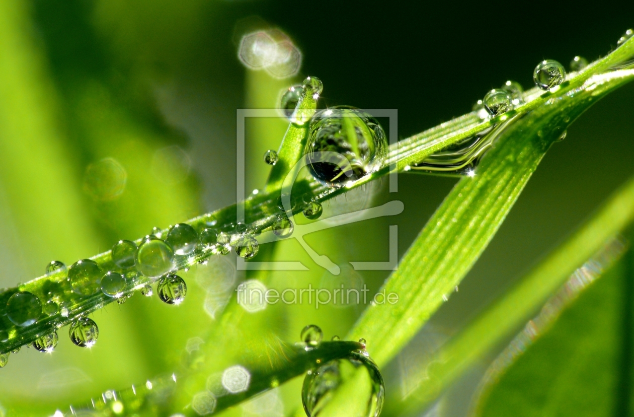 Bild-Nr.: 9658158 Wassertropfen erstellt von gabii40