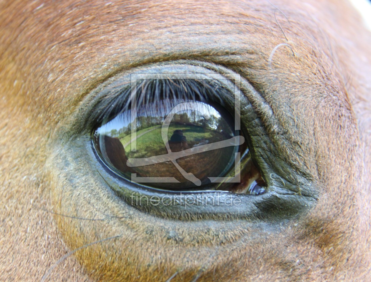 Bild-Nr.: 9660924 Die Augen als Spiegel erstellt von andy2902