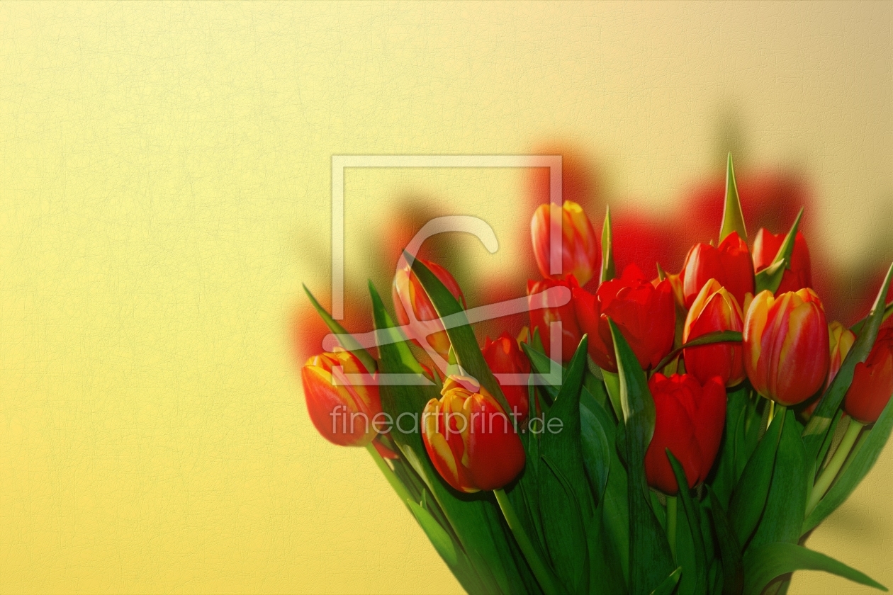 Bild-Nr.: 9661732 Frühlingsfarben erstellt von Martina Fornal