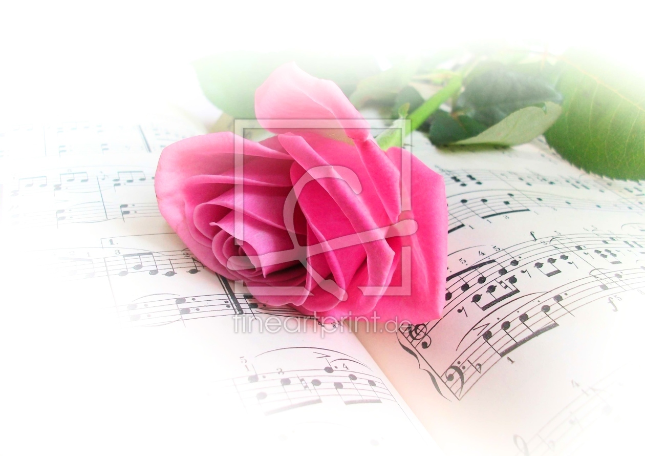 Bild-Nr.: 9661990 My little Rose  erstellt von Bluemoon