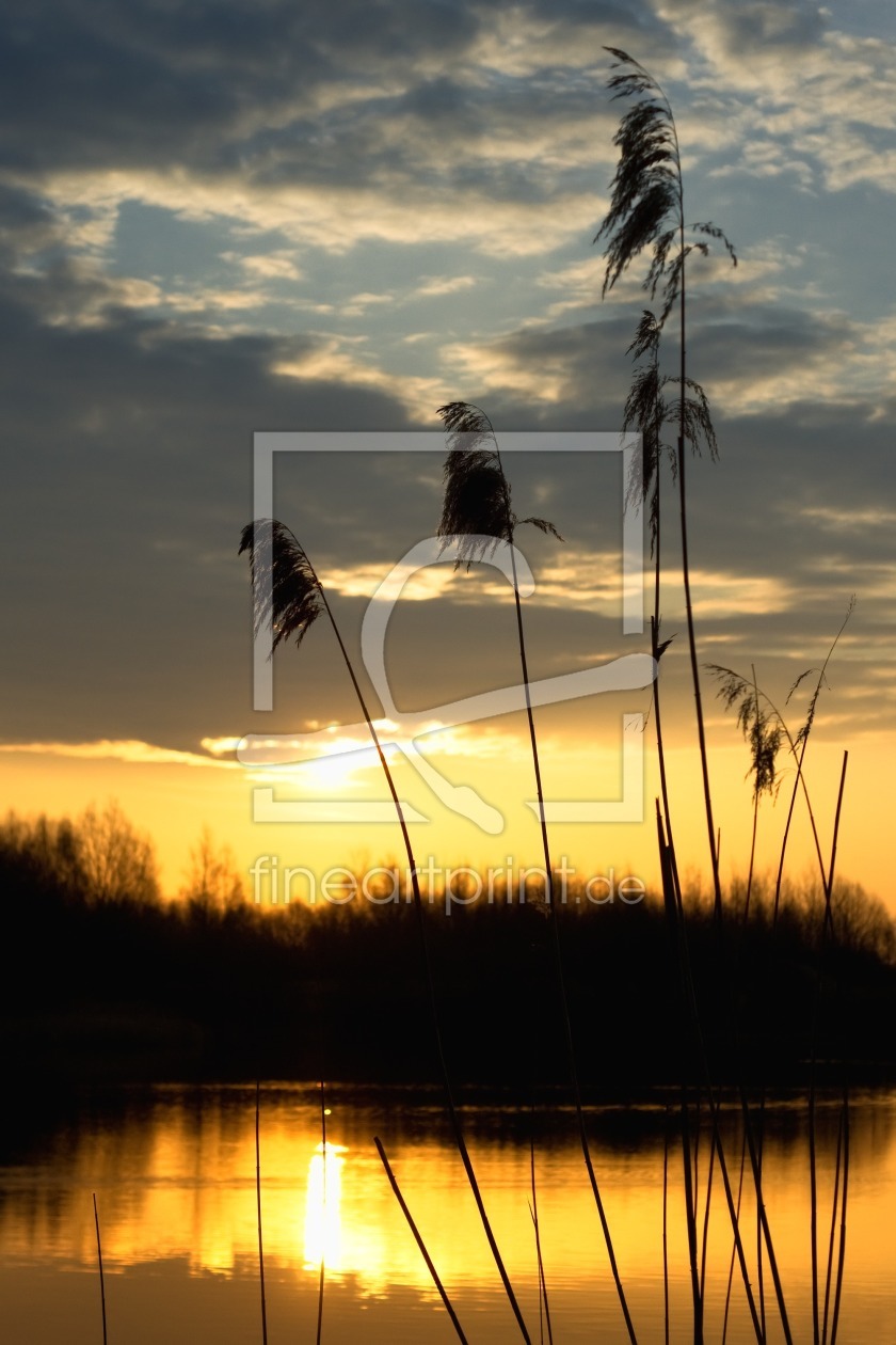 Bild-Nr.: 9678220 Sonnenaufgang am See erstellt von Oliver Totzke