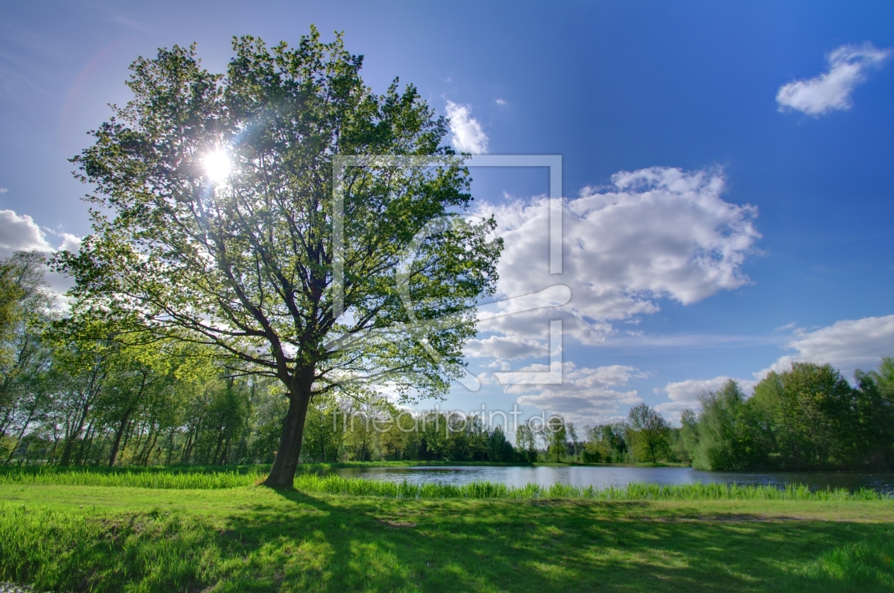 Bild-Nr.: 9678966 Baum des Lebens erstellt von kauli