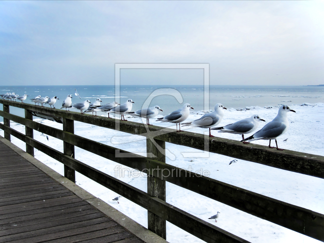 Bild-Nr.: 9679140 Ostseebad Boltenhagen erstellt von Galerie-Fotoeffekt