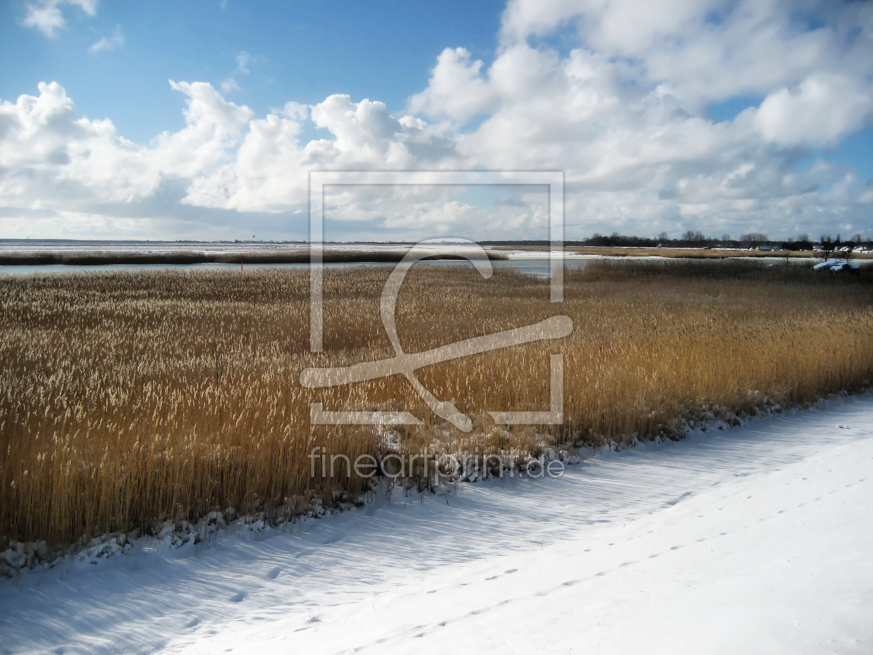 Bild-Nr.: 9679190 Ostseebad - Boltenhagen erstellt von Galerie-Fotoeffekt