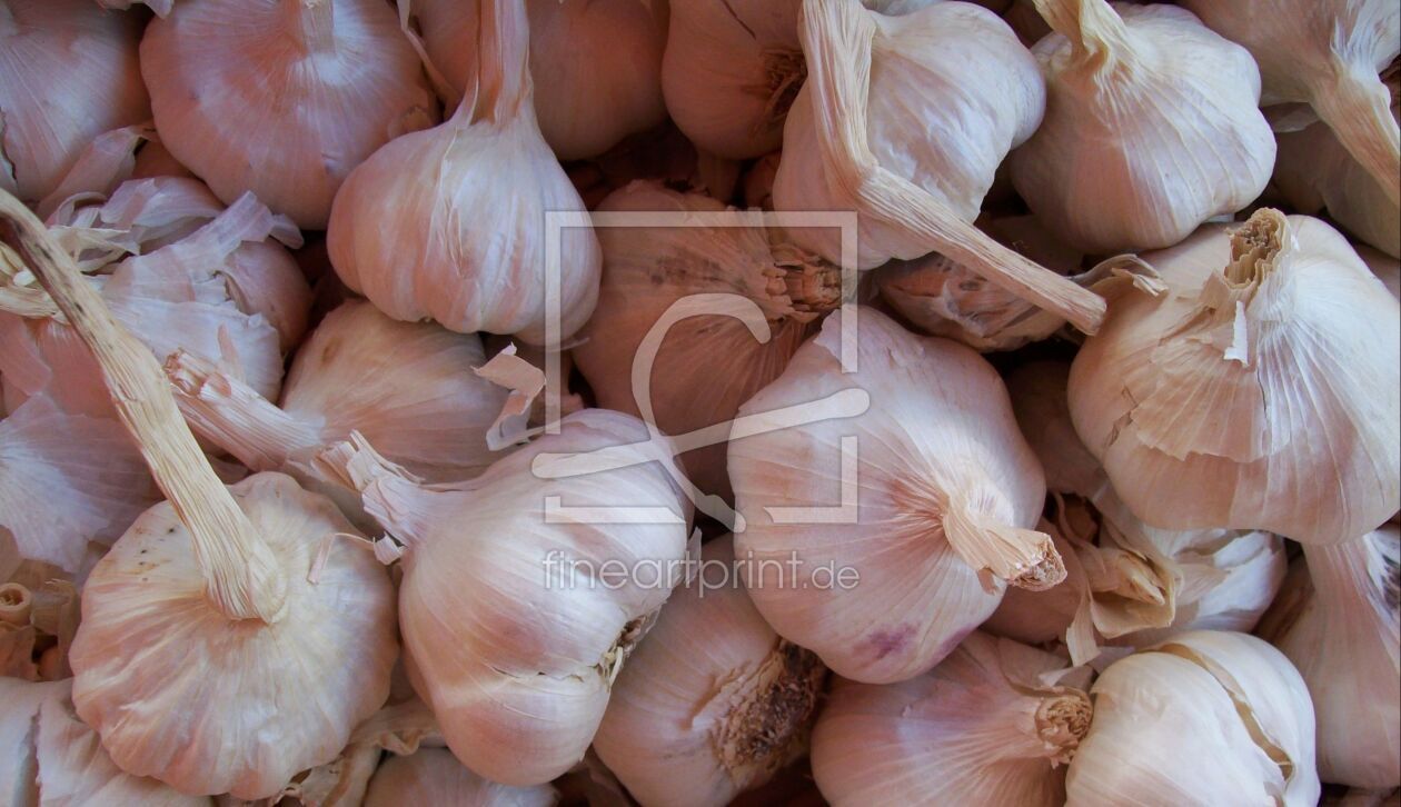 Bild-Nr.: 9686170 Knoblauch erstellt von Marion227