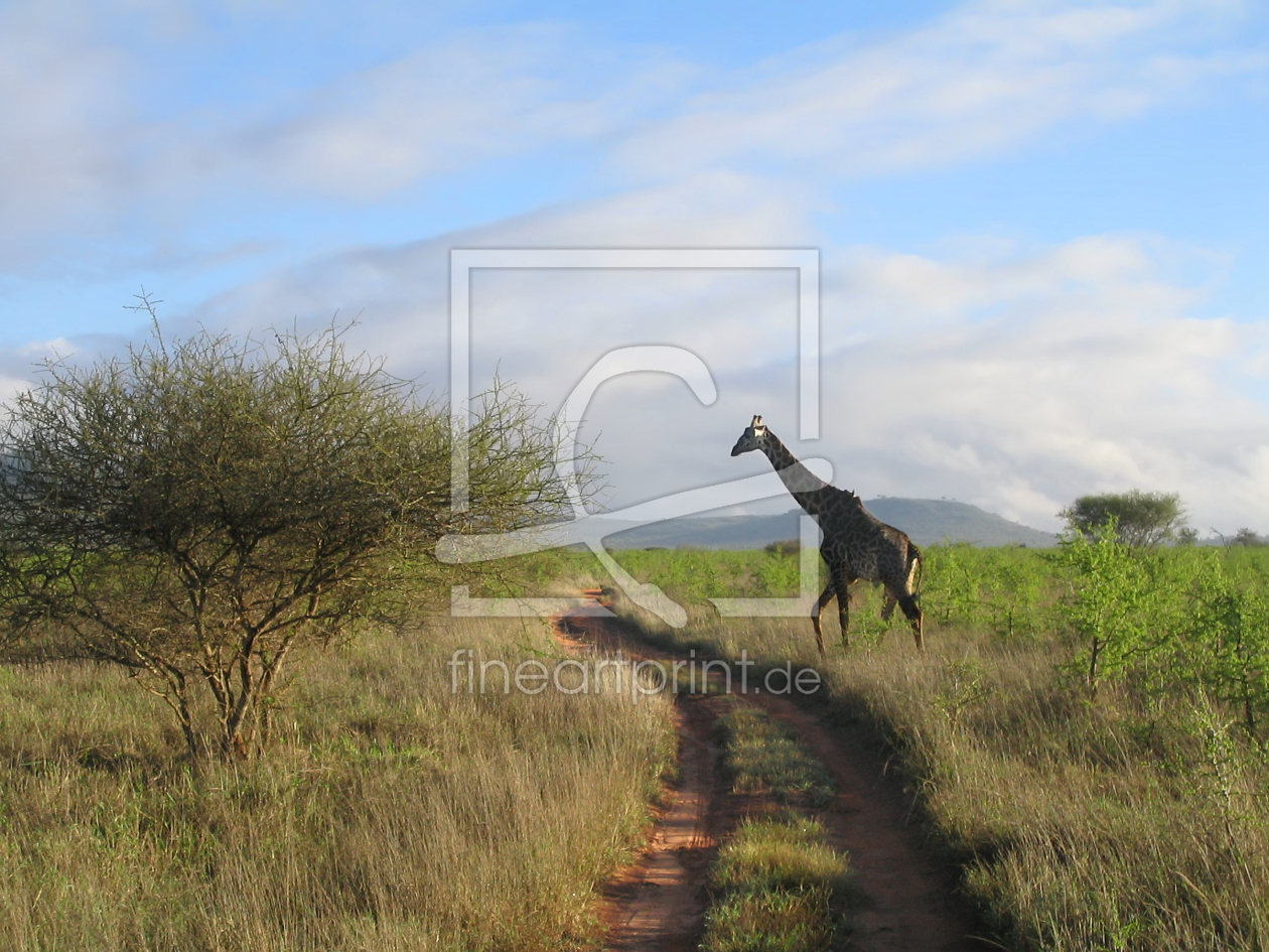 Bild-Nr.: 9687082 Afrika erstellt von Galerie-Fotoeffekt