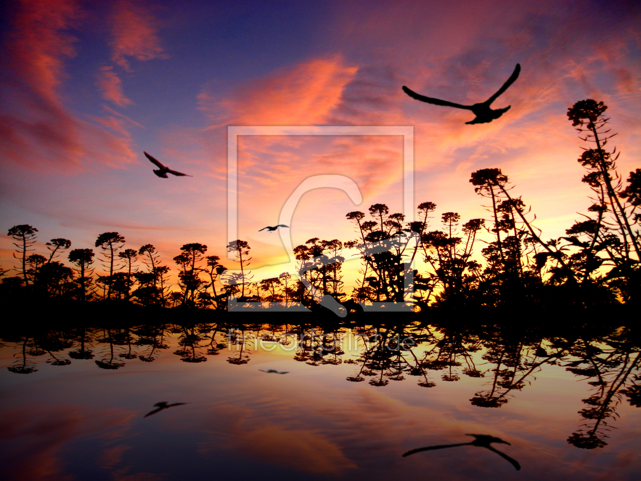 Bild-Nr.: 9691774 Playing Birds  erstellt von yammay