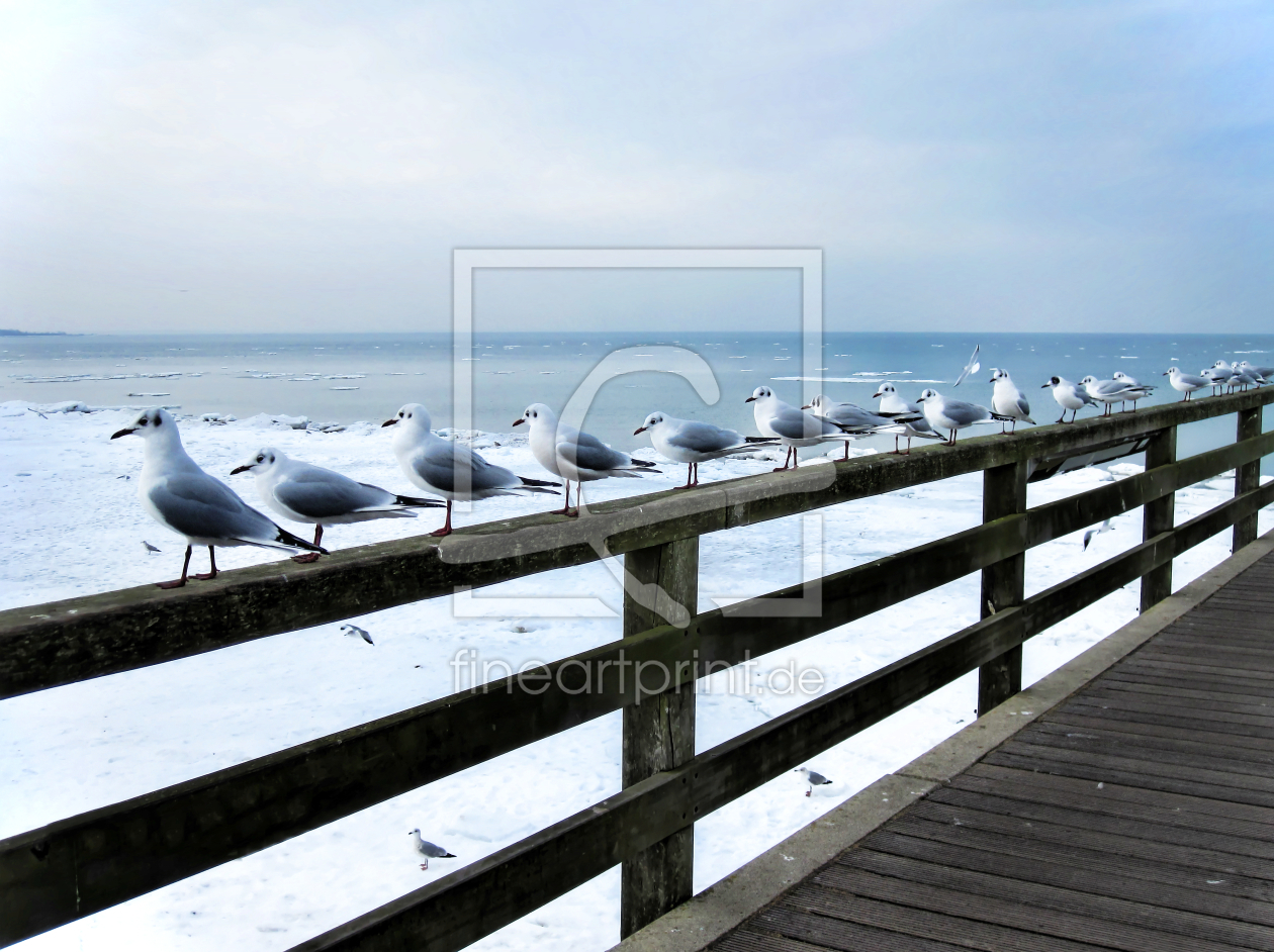 Bild-Nr.: 9697964 Ostseebad Boltenhagen erstellt von Galerie-Fotoeffekt