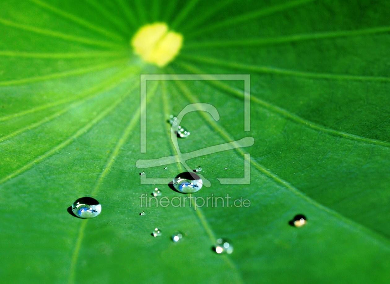 Bild-Nr.: 9722472 Wassertropfen erstellt von Renate Knapp