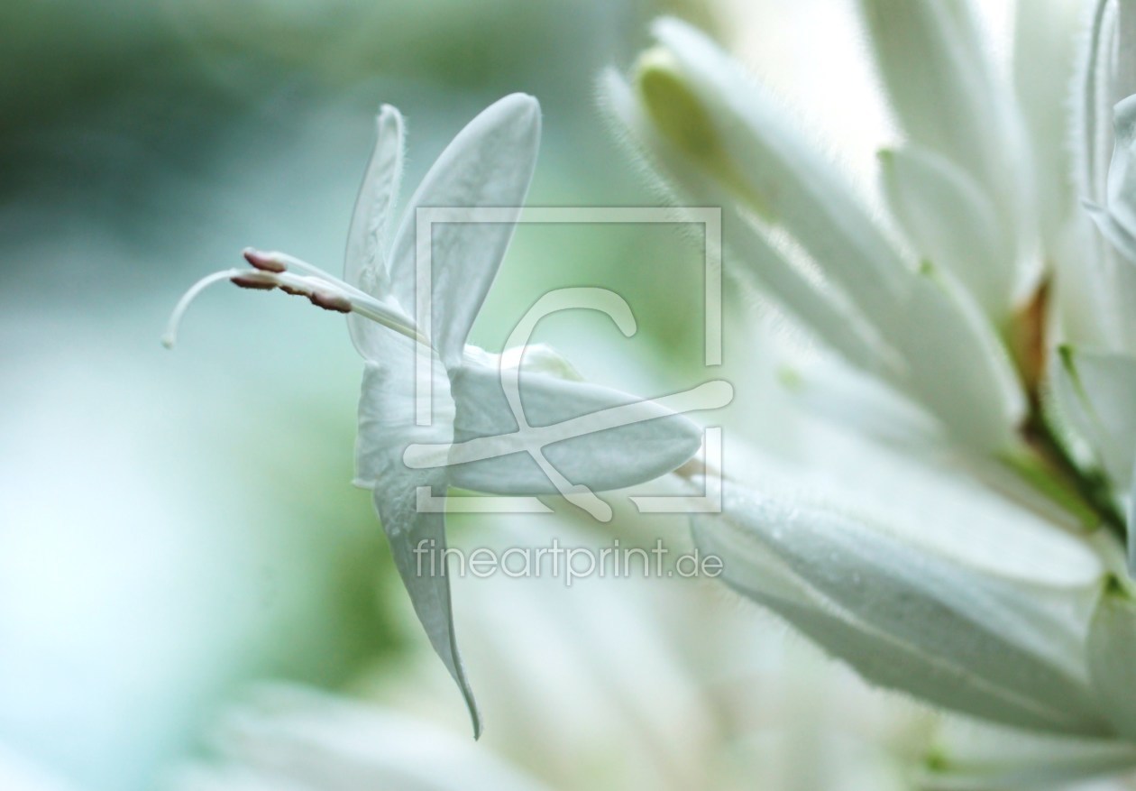 Bild-Nr.: 9723716 Ballerina erstellt von Renate Knapp