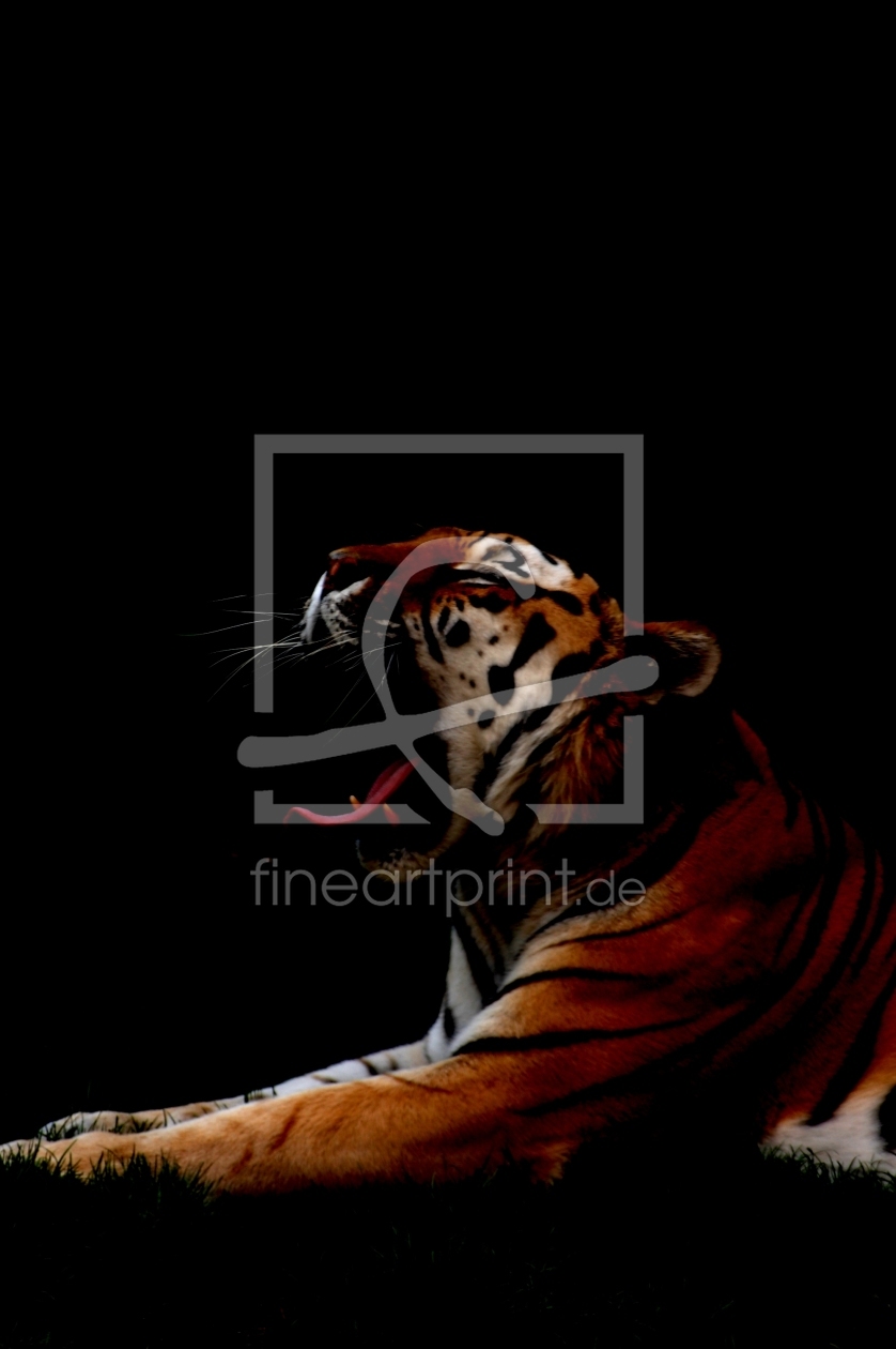 Bild-Nr.: 9725516 the tiger II erstellt von asdustdances