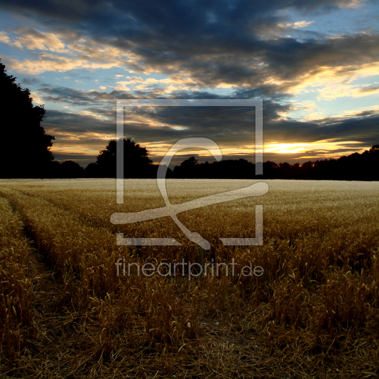 Bild-Nr.: 9728502 Abendstimmung am Kornfeld erstellt von yammay