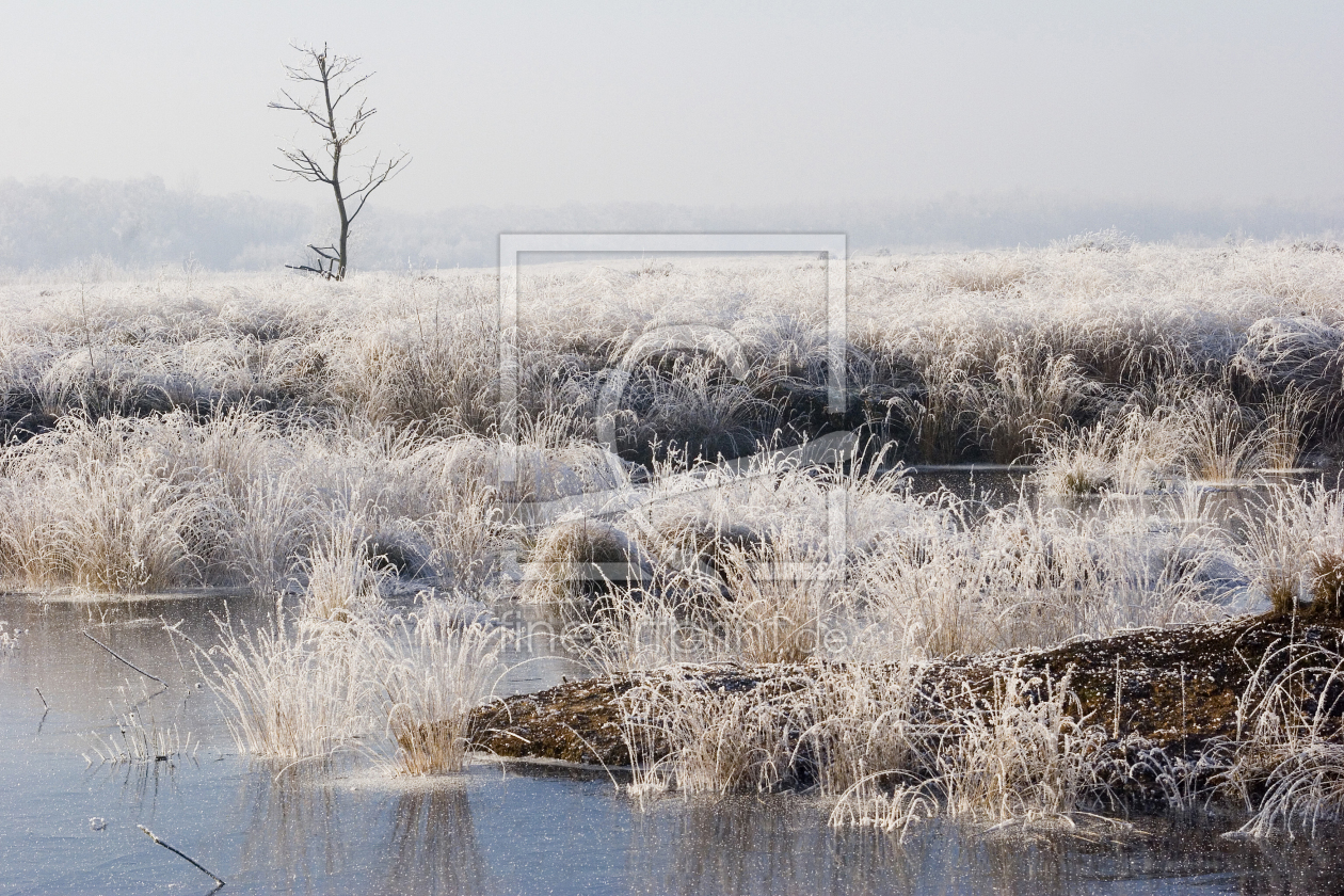 Bild-Nr.: 9730638 Moor im Winter erstellt von Digra987