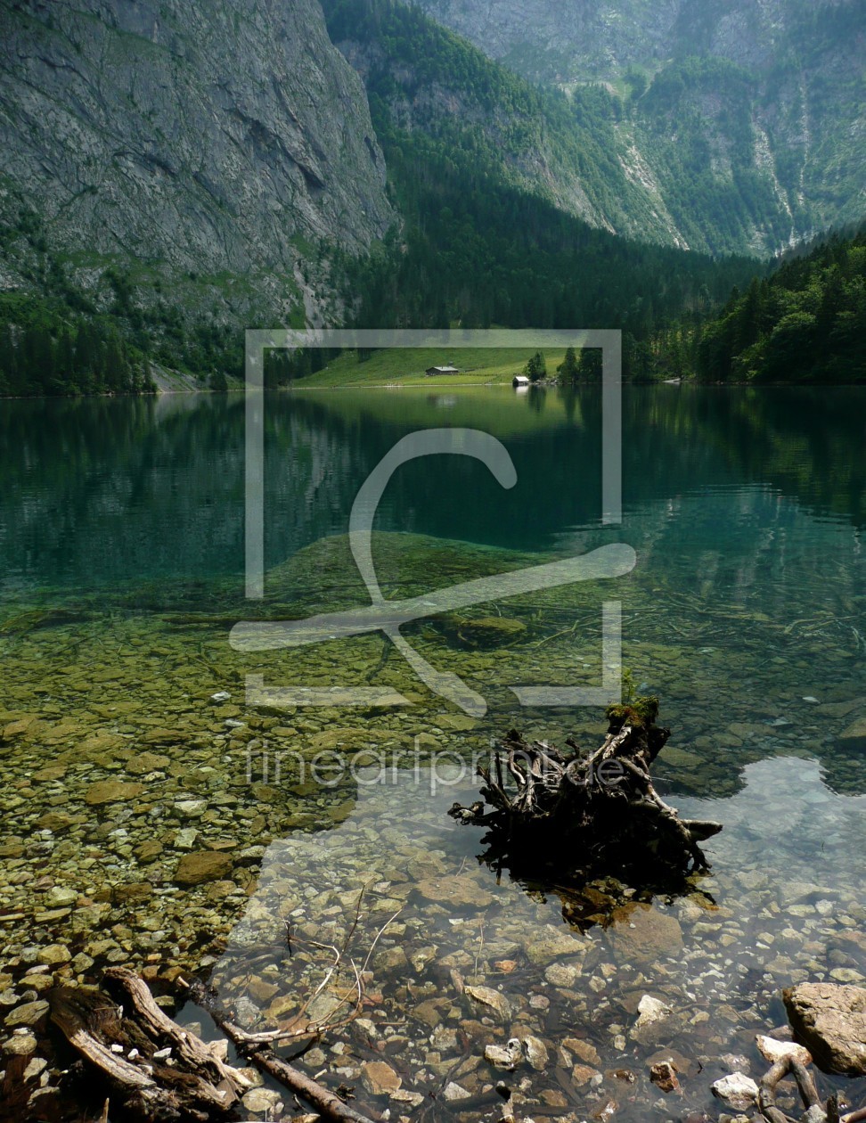 Bild-Nr.: 9731960 Alm am Obersee erstellt von csausbs
