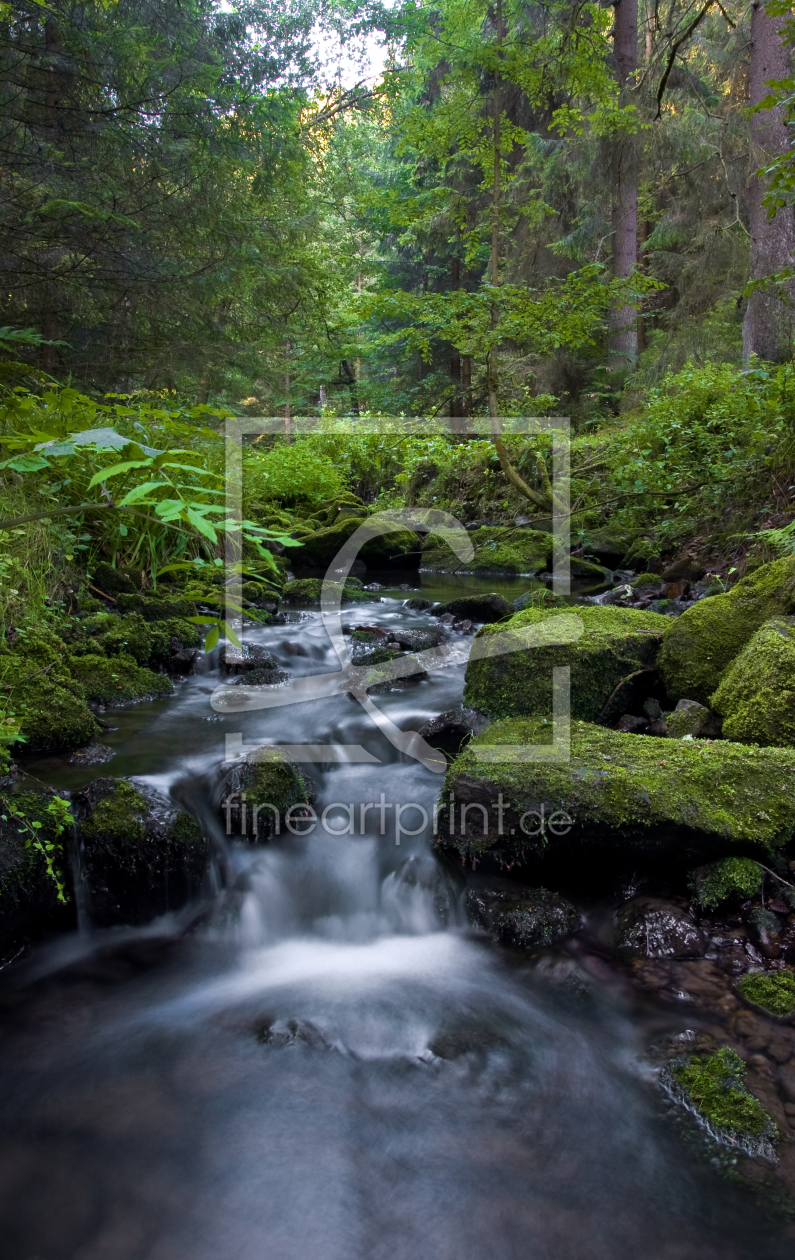 Bild-Nr.: 9736180 Wasserlauf im Wald erstellt von chispa