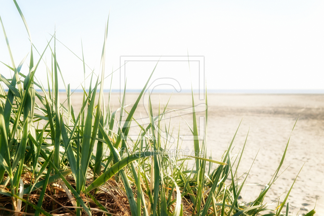 Bild-Nr.: 9743302 Nordsee | Strand ~ 1 erstellt von Frank Wächter