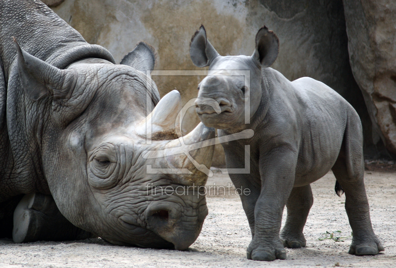 Bild-Nr.: 9744786 Nashorn-Baby bewacht Mamas Schlaf erstellt von mpenzi