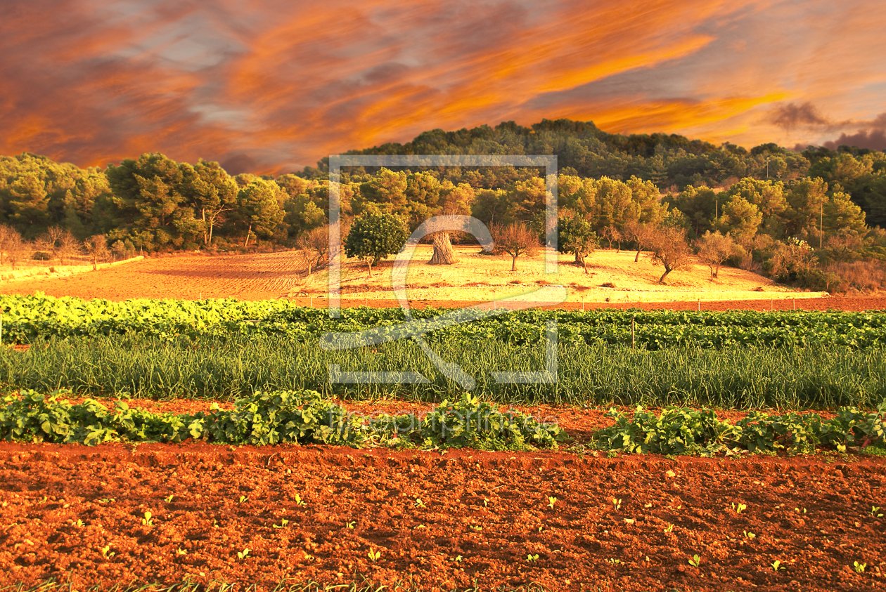 Bild-Nr.: 9744804 Landschaft erstellt von ipahit