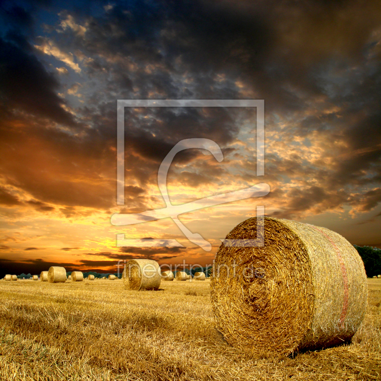 Bild-Nr.: 9745398 Abendrot am Feld erstellt von yammay