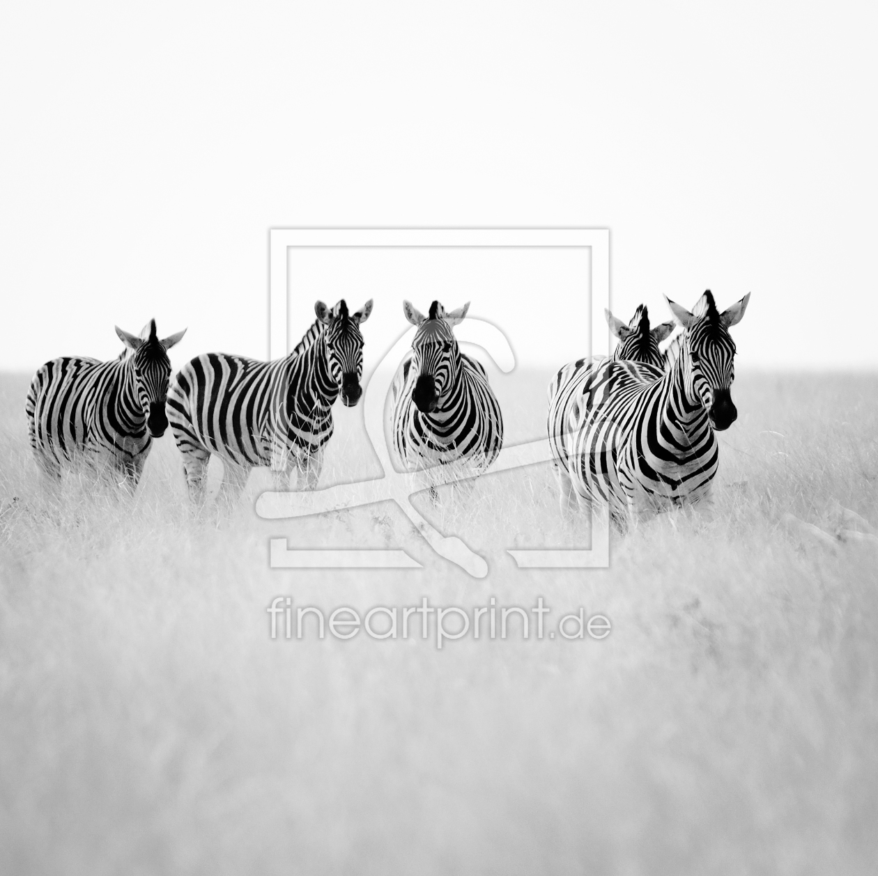 Bild-Nr.: 9747504 zebra:crossing erstellt von sensorfleck
