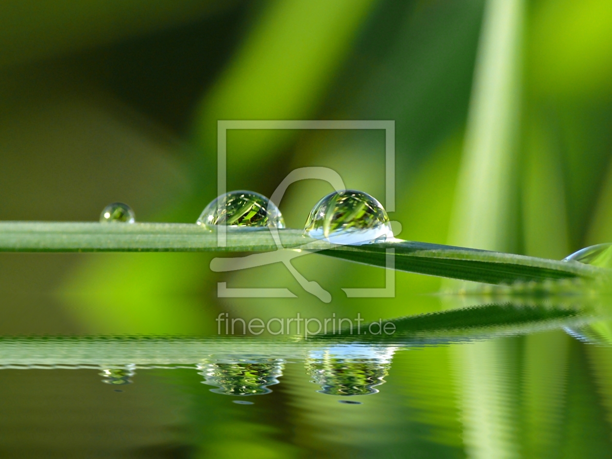 Bild-Nr.: 9756136 Wasserperlen erstellt von gabii40