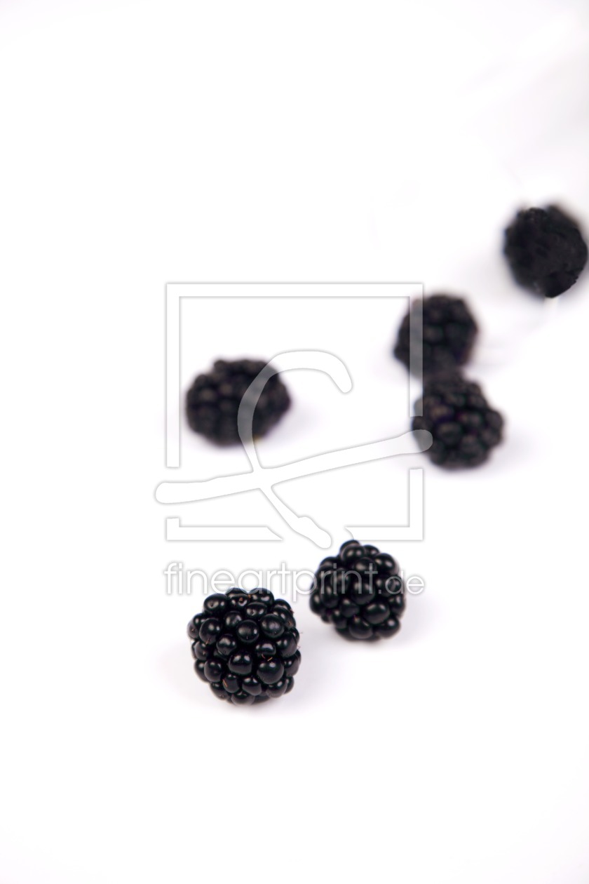 Bild-Nr.: 9758034 Blackberry - Brombeere erstellt von roshmo