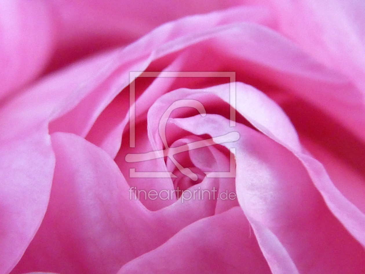Bild-Nr.: 9771444 ROSE Bild-Nr.: 9771444 ROSE erstellt von h-e-w-ruinensiluette71