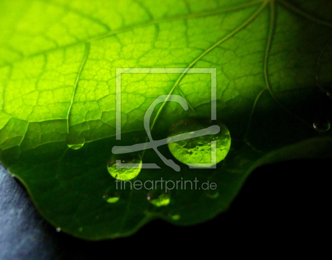 Bild-Nr.: 9771532 green water Drops erstellt von fly0my0butterfly