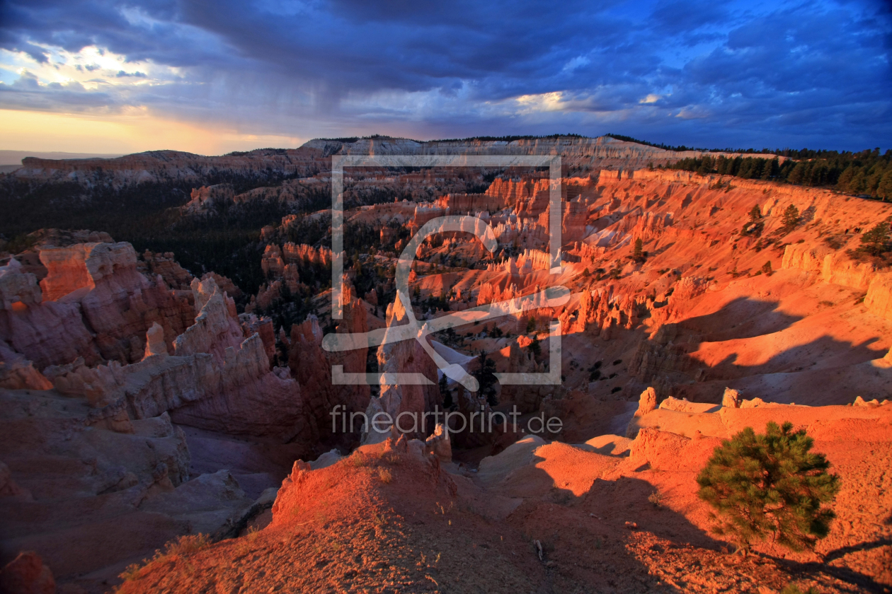 Bild-Nr.: 9772556 Bryce Canyon - Utah erstellt von Marcel Schauer