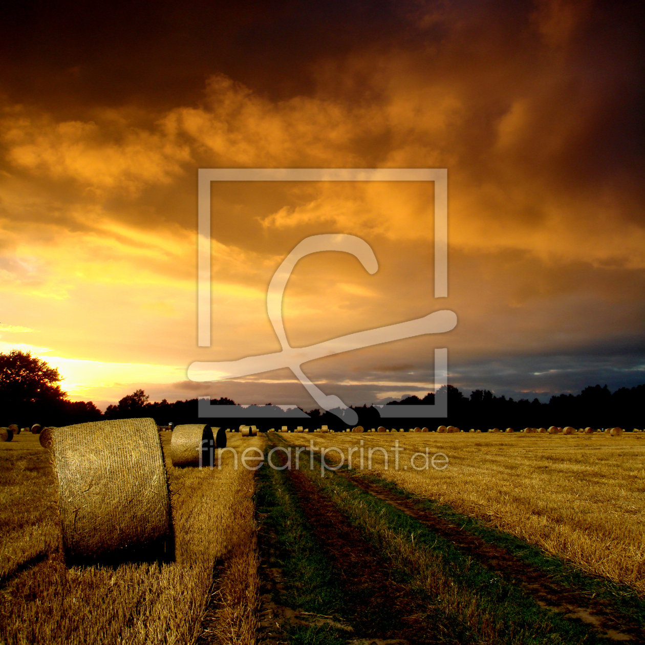 Bild-Nr.: 9775542 Abenddämmerung am Feld erstellt von yammay