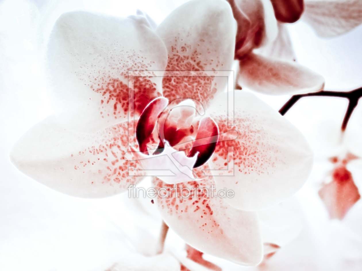 Bild-Nr.: 9779386 ORCHIDEE erstellt von Galerie-Fotoeffekt