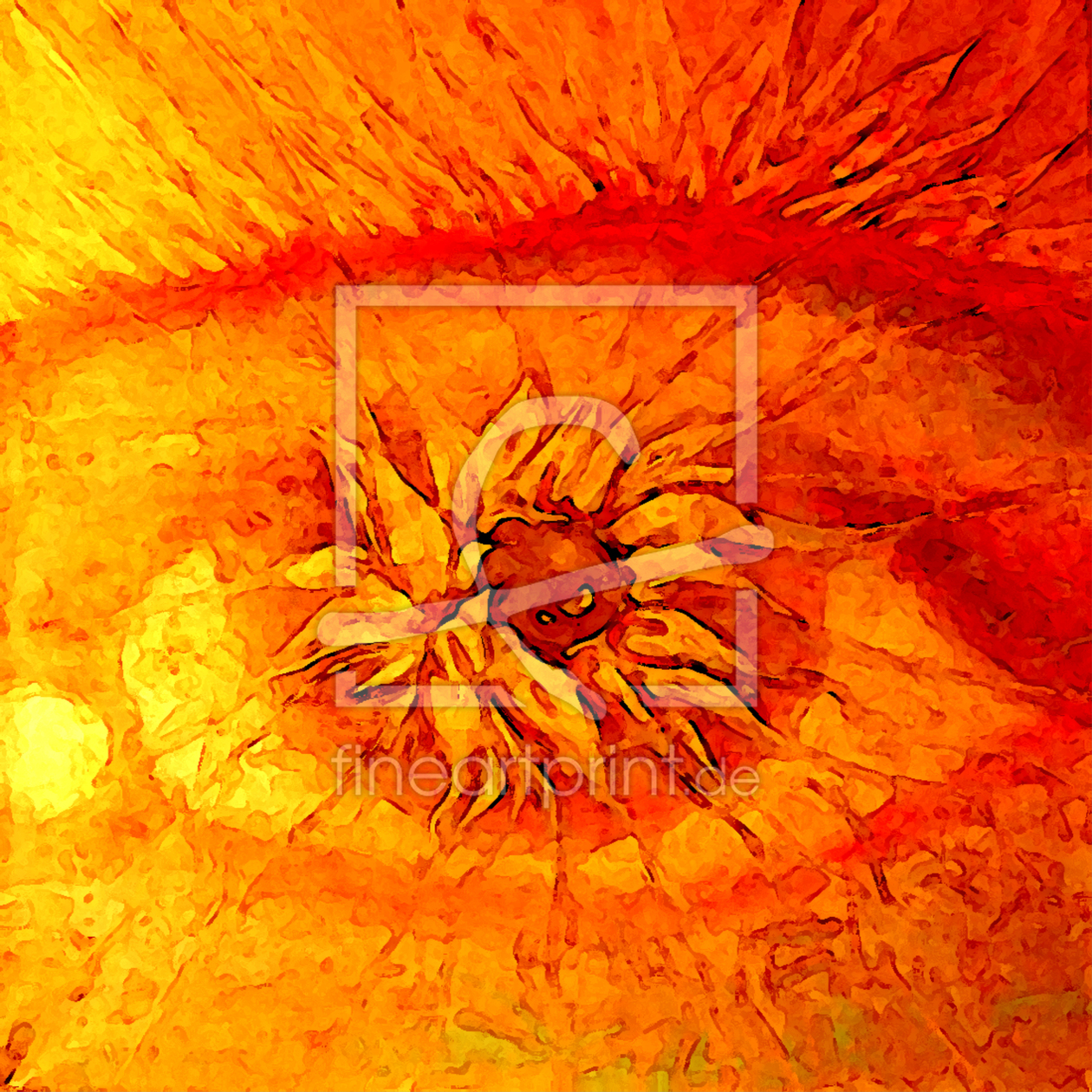 Bild-Nr.: 9785644 Sun Up Orange erstellt von florin
