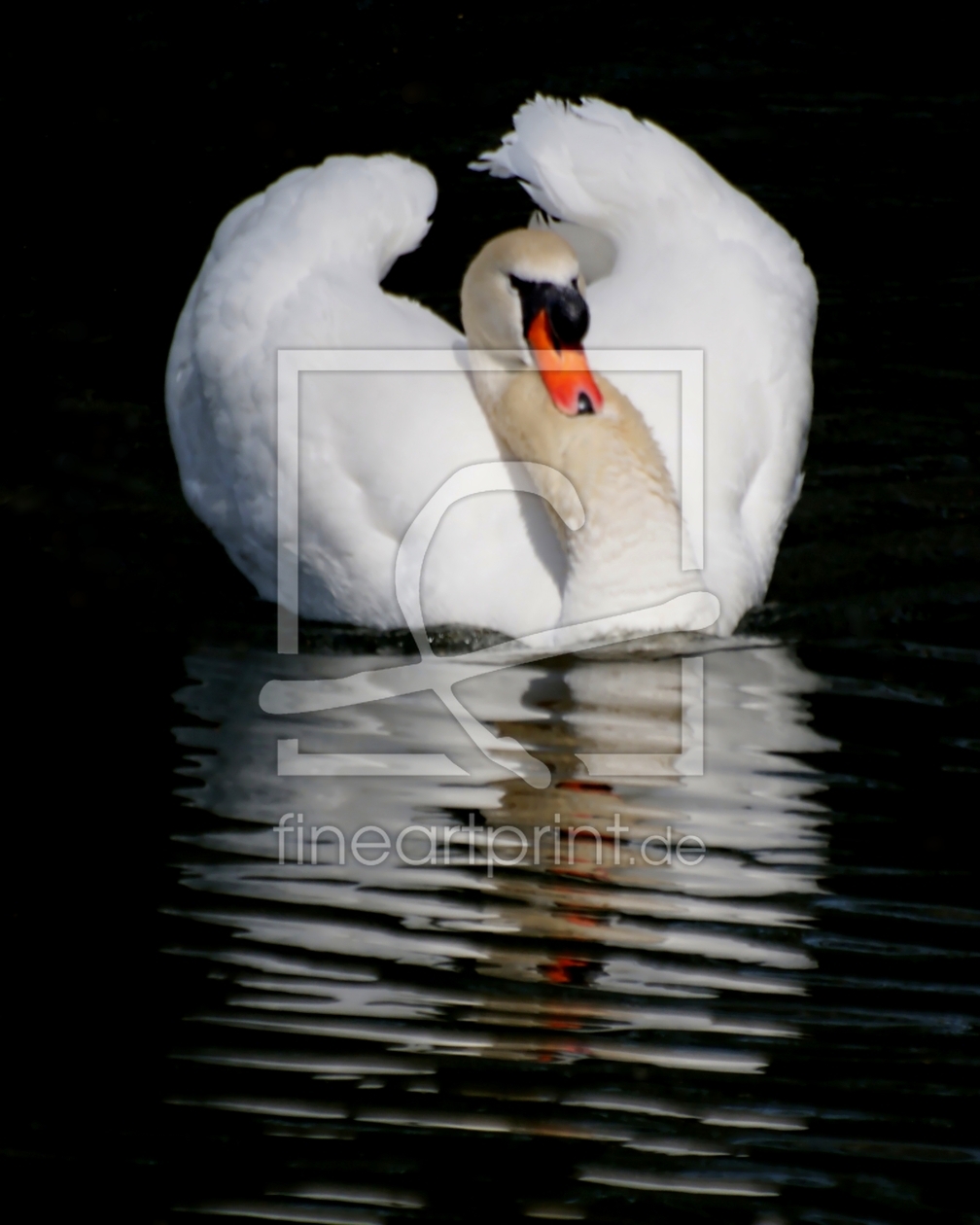 Bild-Nr.: 9785752 Cygne erstellt von youhaveadream