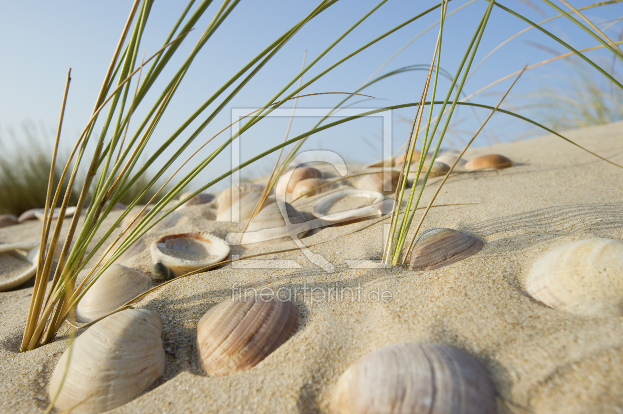 Bild-Nr.: 9790960 neulich am Strand 6 erstellt von danielschoenen