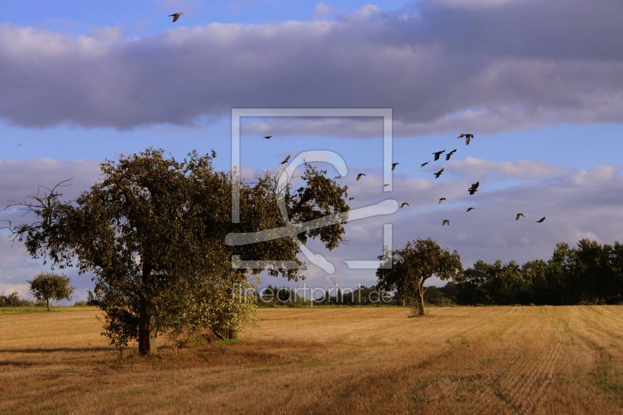 Bild-Nr.: 9792696 Herbstlandschaft erstellt von Renate Knapp